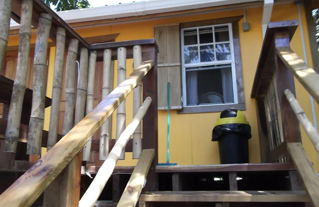 The Funky Dodo Backpackers Hostel-1