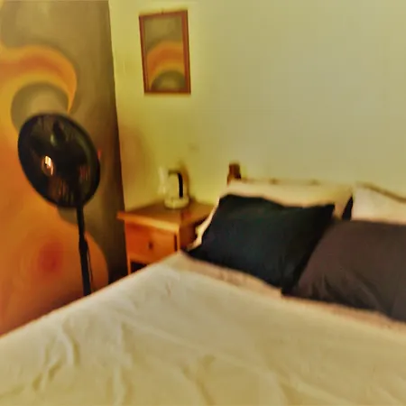 The Funky Dodo Backpackers Hostel-2